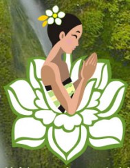 Салон тайского массажа «Thai Spa Lotus»